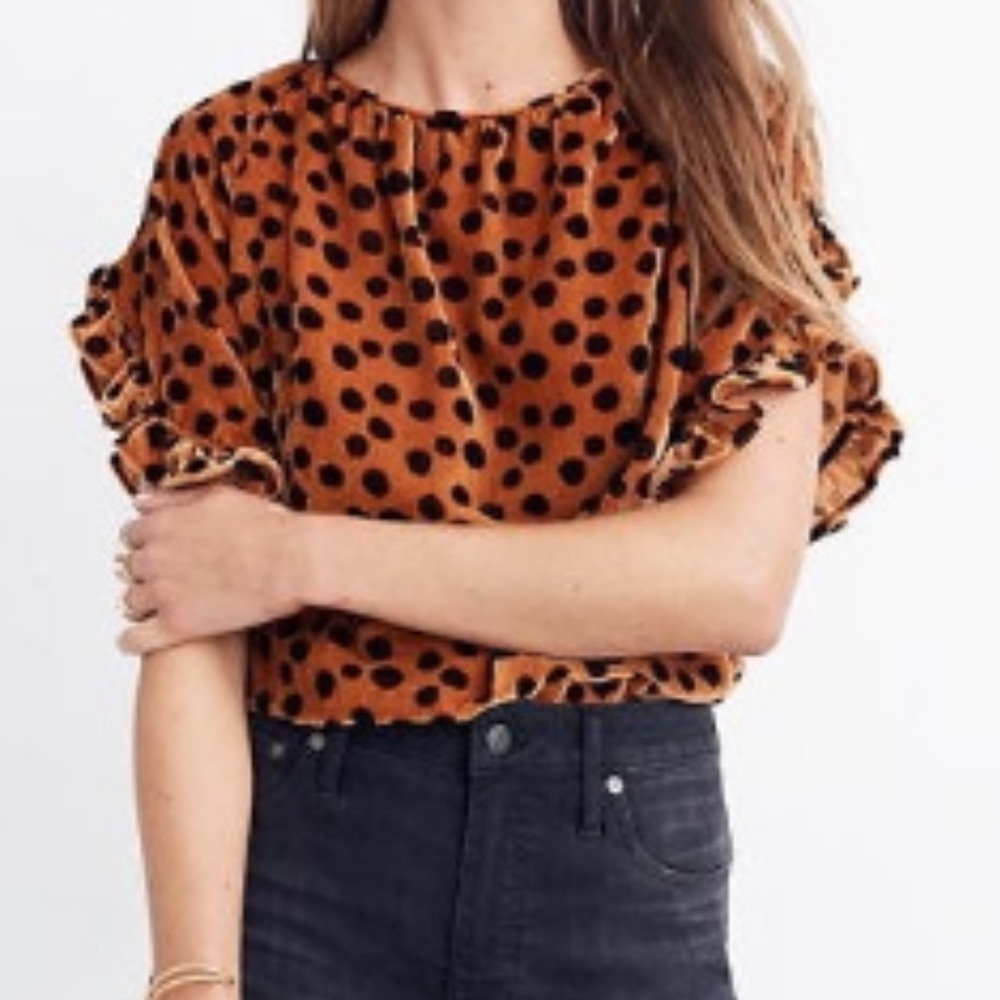 Madewell Spotted Velvet Blouse